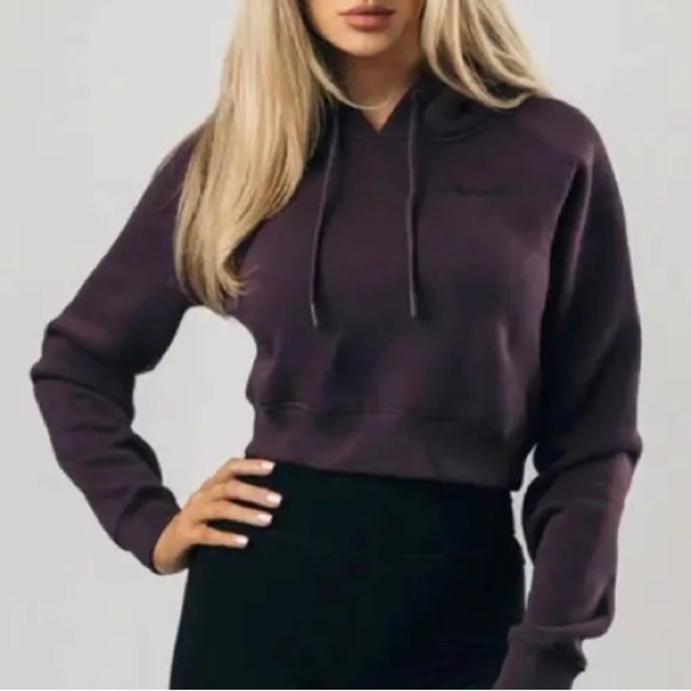 Alphalete XS purple hoodie crop